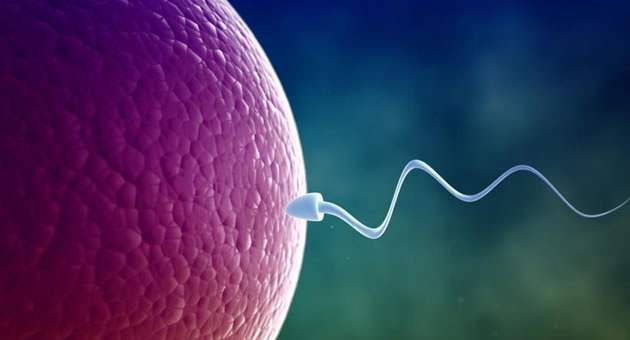 antispermatozoidni-antitela-alergija-na-semena-tecnost-01.jpg