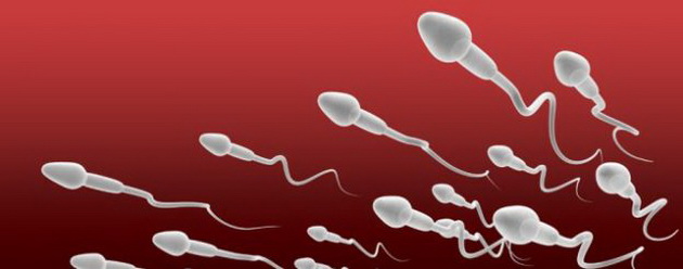 antispermatozoidni-antitela-alergija-na-semena-tecnost-02.jpg