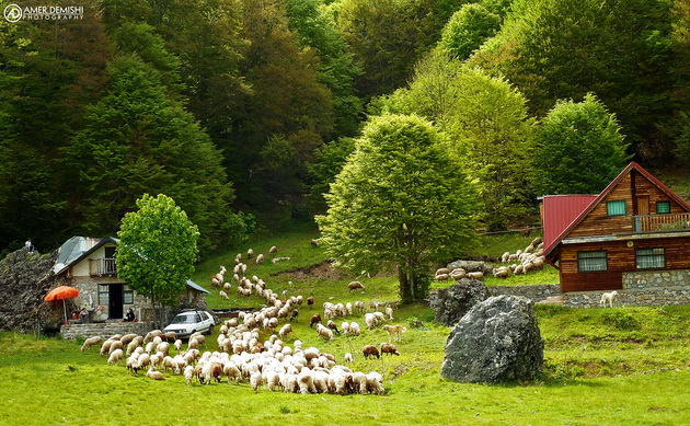 koga-shvajcarskite-alpi-gi-imash-vo-makedonija-reportazha-od-labunishki-bachila-foto-02.jpg