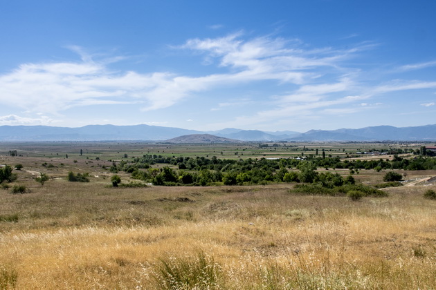 makedonija-ima-rajska-ubavina-polinja-sonchogledi-srede-pelagonija-foto-14.jpg