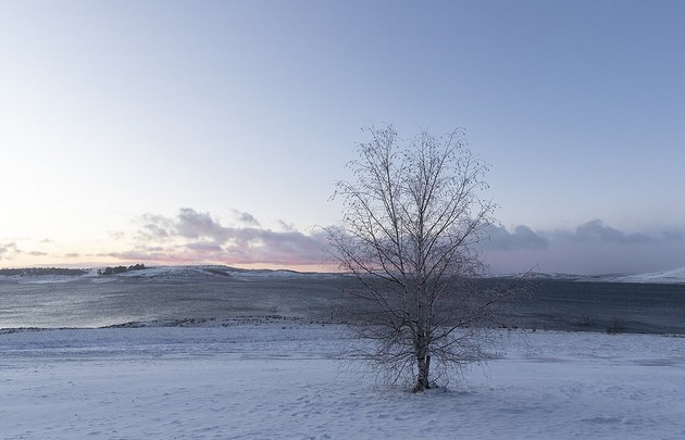 avstralija-pod-snezhna-pokrivka-zhitelite-soocheni-so-polarna-bura-kakva-shto-nemalo-15-godini-foto-02.jpg