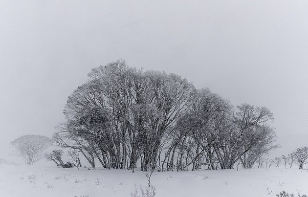 avstralija-pod-snezhna-pokrivka-zhitelite-soocheni-so-polarna-bura-kakva-shto-nemalo-15-godini-foto-03.jpg