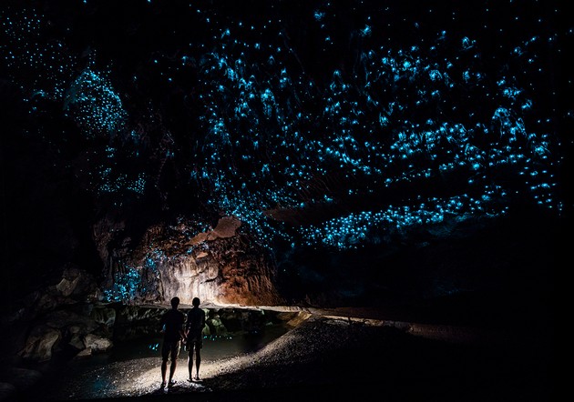 nadrealna-peshtera-vo-nov-zeland-osvetlena-so-bioluminiscentni-crvi-foto-04.jpg
