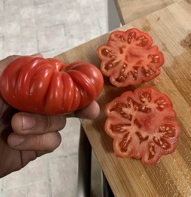 mandarina-vo-mandarina-cvet-od-kaktus-koga-obichnite-raboti-kje-ve-iznenadat-foto-10.jpg