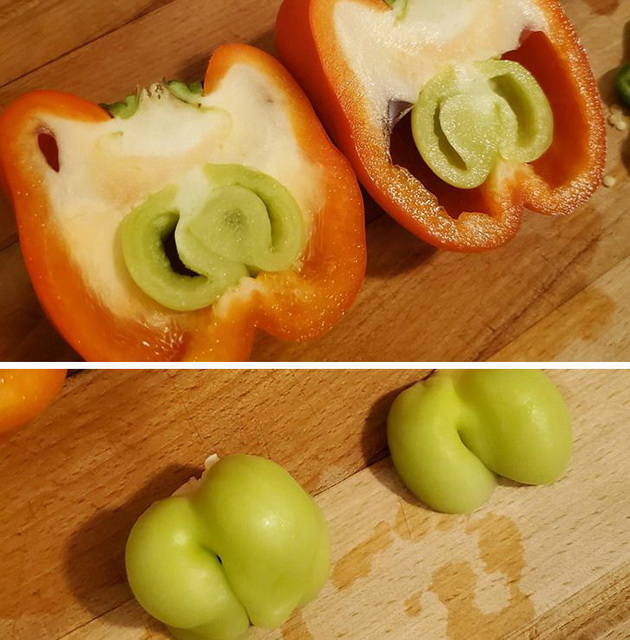 mandarina-vo-mandarina-cvet-od-kaktus-koga-obichnite-raboti-kje-ve-iznenadat-foto-11.jpg