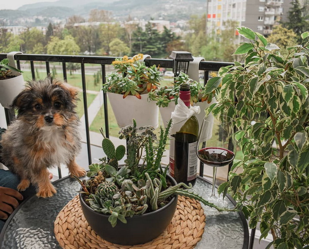 na-gosti-kaj-vera-kalin-vpechatliv-dom-vo-skopje-oboen-vo-zeleno-sivi-tonovi-foto-09.jpg