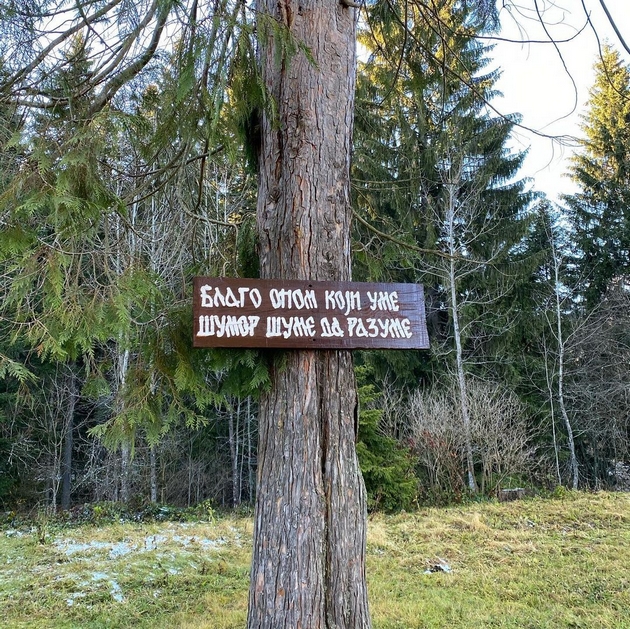 ovde-nikoj-ne-mozhe-da-bide-tazhen-novak-gjokovikj-i-semejstvoto-na-idilichna-proshetka-vo-nacionalniot-park-tara-vo-srbija-foto-10.jpg