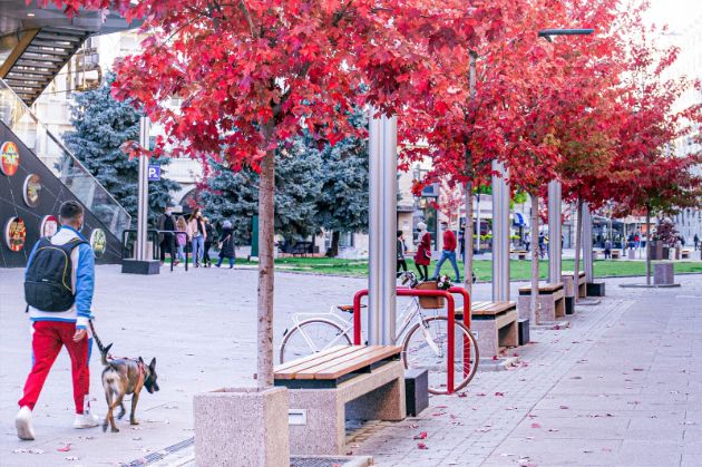 utrinski-proshetki-bajkoviti-pejzazhi-magijata-na-gradski-park-i-skopskite-ulici-vo-esen-foto-03.jpg