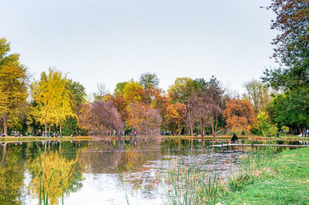 utrinski-proshetki-bajkoviti-pejzazhi-magijata-na-gradski-park-i-skopskite-ulici-vo-esen-foto-12.jpg