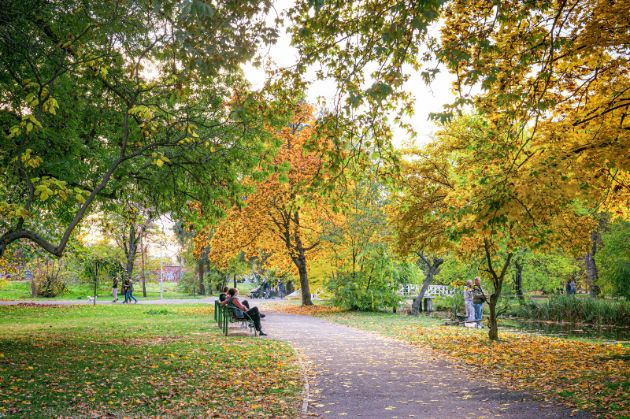 utrinski-proshetki-bajkoviti-pejzazhi-magijata-na-gradski-park-i-skopskite-ulici-vo-esen-foto17.jpg