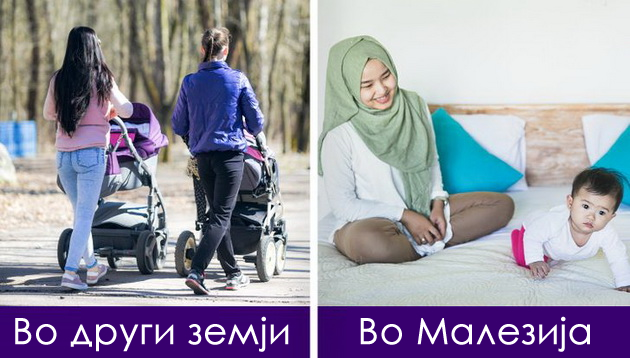 aerodrom-kako-tropska-shuma-pazuvite-se-zabraneti-na-tv-11-fakti-za-zhivotot-vo-malezija-12.jpg