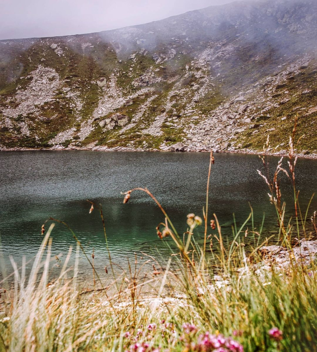 iako granicite na drzavite od svetot bea zatvoreni potrebata od postojano patuvanje i dvizenje ja zadovoliv vo makedonija 6