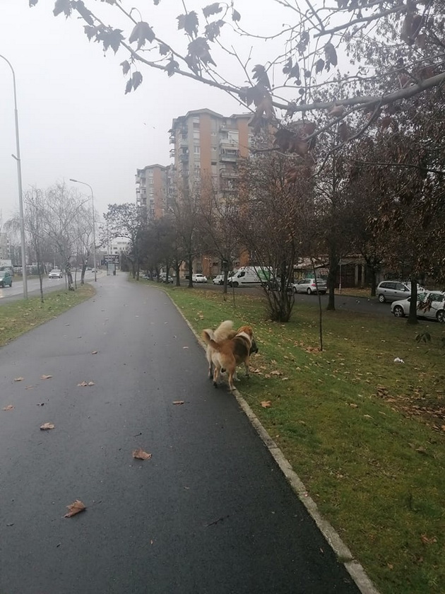 foto-na-denot-dve-kuchinja-se-ljubov-srede-vrnezhlivo-i-sivo-skopje-06.jpg