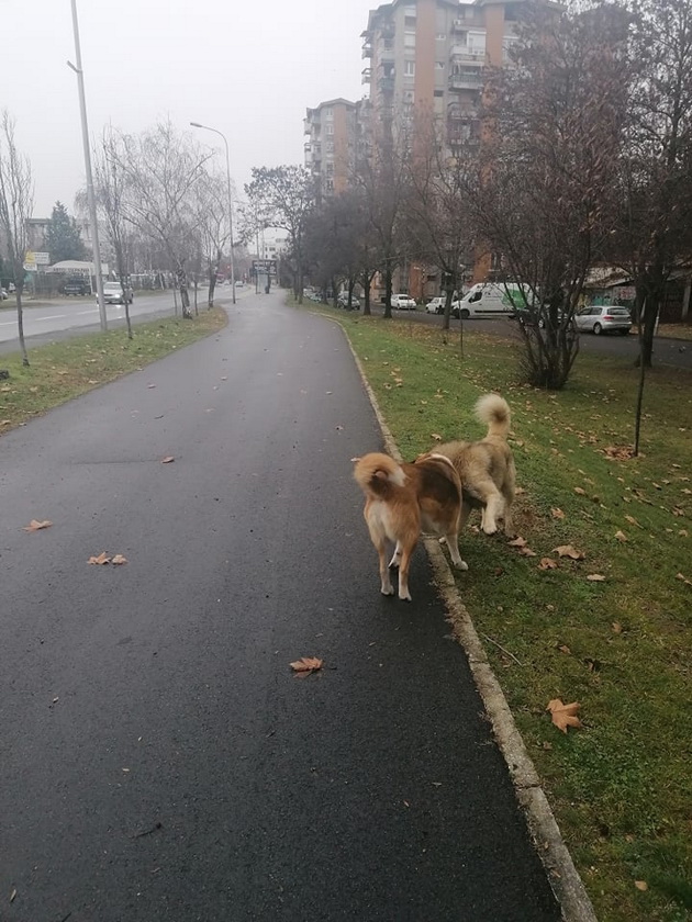 foto-na-denot-dve-kuchinja-se-ljubov-srede-vrnezhlivo-i-sivo-skopje-08.jpg