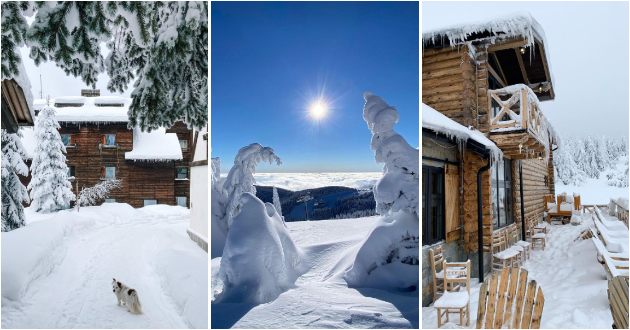 instagram-razglednici-od-snezniot-kopaonik-vo-januari-001_copy.jpg