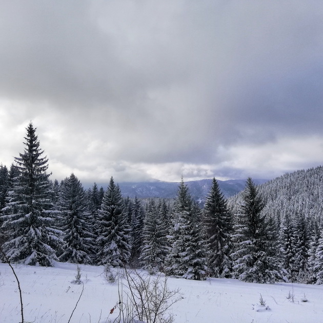 pateki-za-alpsko-skijanje-i-prekrasni-prirodni-ubavini-zimuvanje-na-zlatar-srbija01.jpg