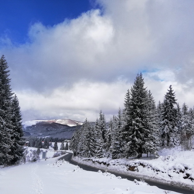 pateki-za-alpsko-skijanje-i-prekrasni-prirodni-ubavini-zimuvanje-na-zlatar-srbija07.jpg