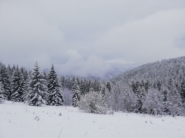 pateki-za-alpsko-skijanje-i-prekrasni-prirodni-ubavini-zimuvanje-na-zlatar-srbija08.jpg