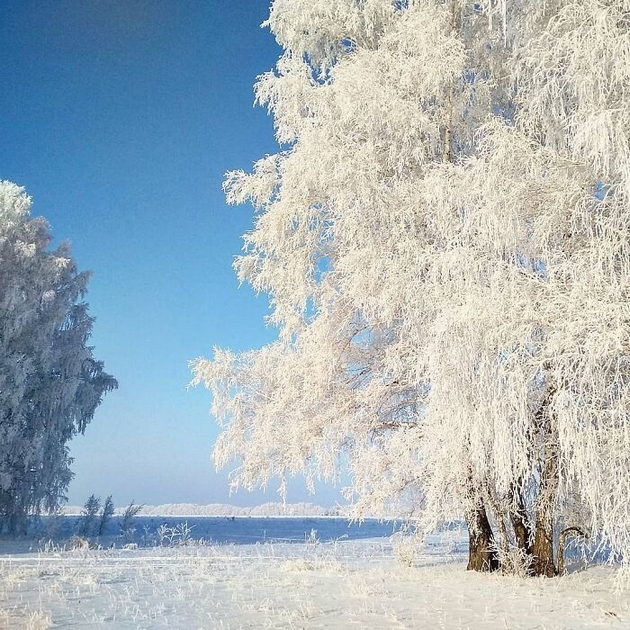 sibir-izgleda-volshebno-na-45-stepeni-zimski-fotki-od-tamoshnite-zhiteli-11.jpg