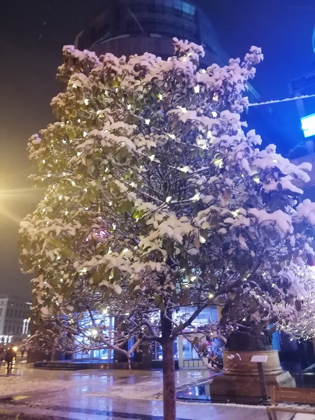 skopjani-mu-se-izraduvaa-na-prviot-sneg-atmosferata-na-ploshtadot-makednija-foto-15.jpg