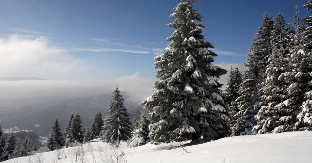 7-uredeni-ski-pateki-na-1744m-n-v-na-skijanje-na-golija-srbija-01.jpg