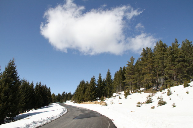 7-uredeni-ski-pateki-na-1744m-n-v-na-skijanje-na-golija-srbija-05.JPG