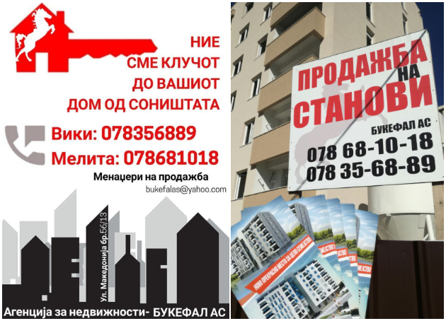 viki-dimchevska-menadjer-za-marketing-i-prodazhba-vo-gradezhniot-sektor-na-makedonija-koga-se-raboti-so-ljubov-uspehot-e-garantiran-07.jpg