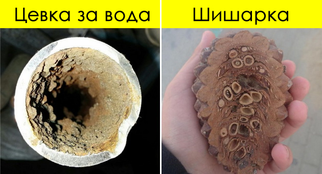 vnatreshnosta-na-aparat-od-benzinska-pumpa-i-ushte-11-iznenaduvanja-vo-rabotite-od-sekojdnevieto-01.jpg