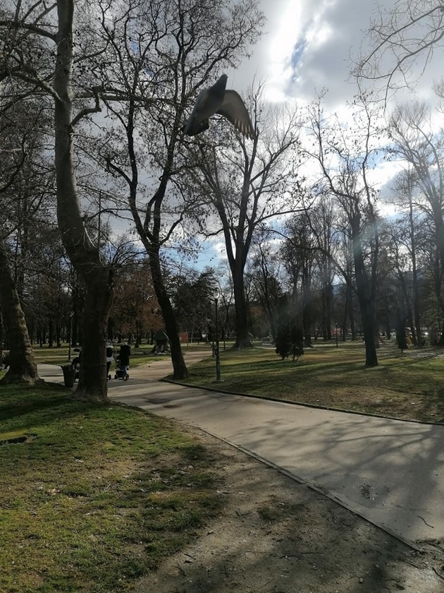 zoshto-go-sakam-gradskiot-park-vo-skopje-02.jpg