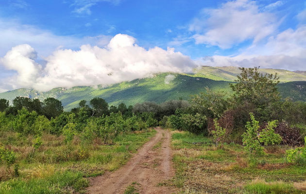 divine farms ovostarnik vo blizina na ohrid idninata na turizmot e vo alternativniot turizam 1