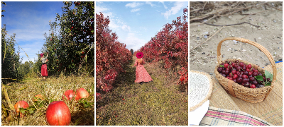 divine farms ovostarnik vo blizina na ohrid idninata na turizmot e vo alternativniot turizam 11