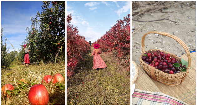 divine farms ovostarnik vo blizina na ohrid idninata na turizmot e vo alternativniot turizam 12