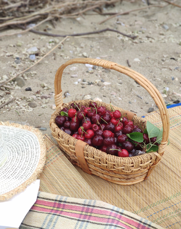 divine farms ovostarnik vo blizina na ohrid idninata na turizmot e vo alternativniot turizam 2