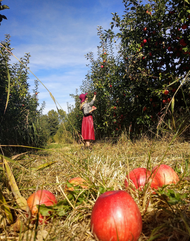 divine farms ovostarnik vo blizina na ohrid idninata na turizmot e vo alternativniot turizam 4