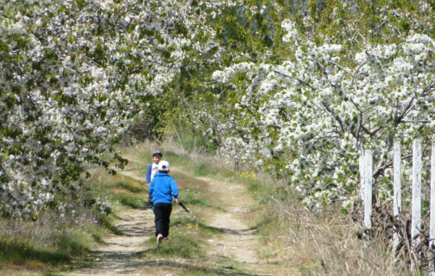 divine farms ovostarnik vo blizina na ohrid idninata na turizmot e vo alternativniot turizam 10