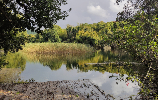 divine farms ovostarnik vo blizina na ohrid idninata na turizmot e vo alternativniot turizam 10