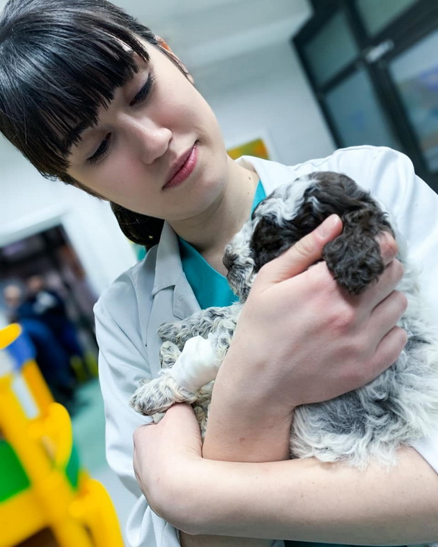 intervju-so-veterinarot-natasha-bojcheva-na-meche-mu-davav-med-i-mledo-so-shpric-machka-me-izgriza-vo-ordinacija-05.jpg