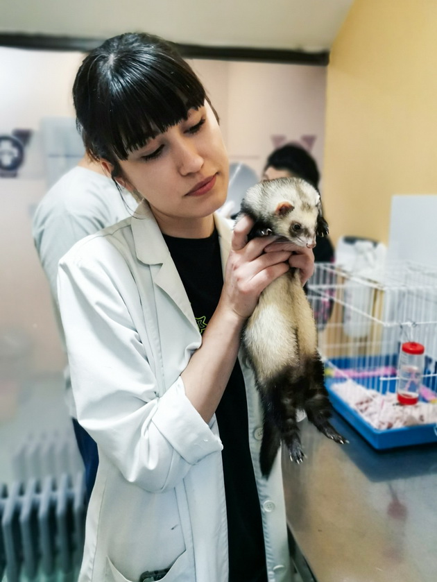 intervju-so-veterinarot-natasha-bojcheva-na-meche-mu-davav-med-i-mledo-so-shpric-machka-me-izgriza-vo-ordinacija-12.jpg