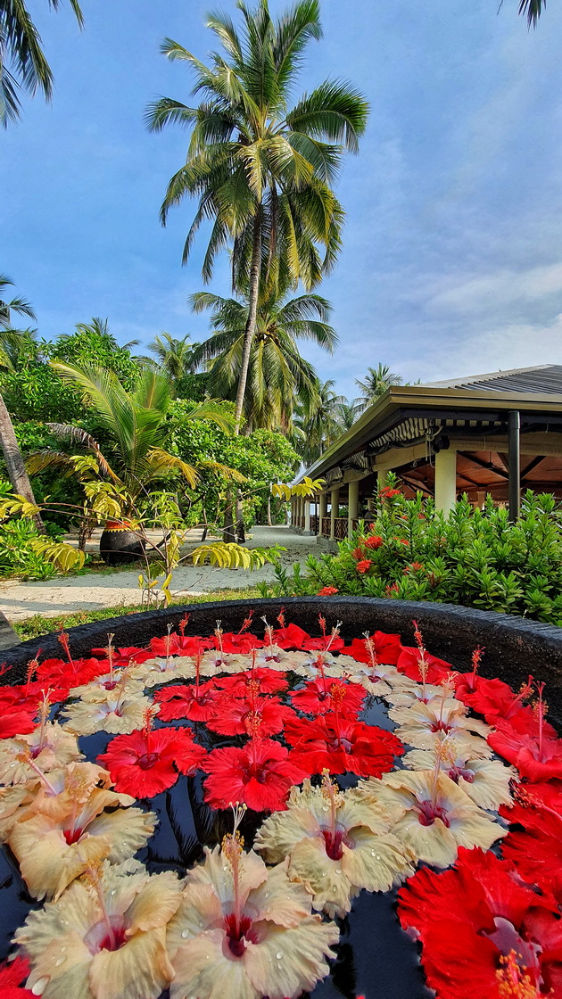 mimi-anastasova-za-prestojot-na-maldivi-pod-bungaloviot-ni-plivaa-ajkuli-navecher-a-najmnogu-turisti-imashe-od-rusija-09.jpeg