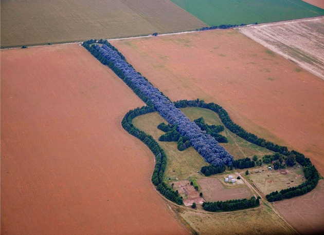 vdovec-od-argentina-4-decenii-sadel-shuma-vo-forma-na-gitara-vo-chest-na-pochinatata-sopruga-foto-06.jpg