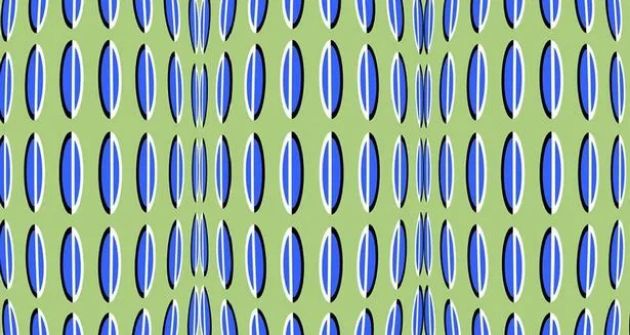Optichka-iluzija-se-dvizat-li-sarite-na-slikata-ili-ne-03.jpg