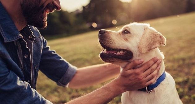 dali-plachat-zoshto-im-e-vlazhen-nosot-veterinari-odgovaraat-na-najchestite-prashanja-za-kuchinjata-milenici-04.jpg