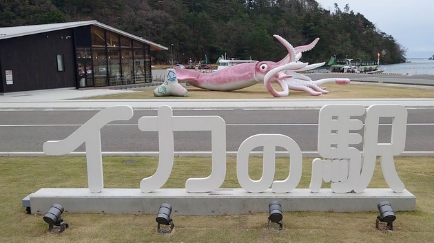 japonski-grad-meta-na-kritiki-si-napravile-ogromna-statua-od-ligna-so-finansiskata-pomosh-za-pandemijata-foto-02.jpg