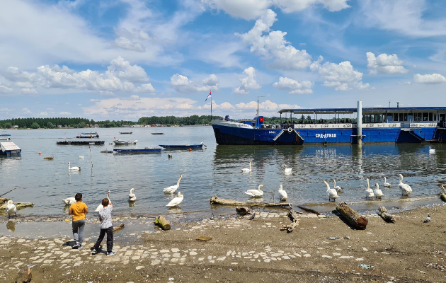 onie koisto sakaat da vidat poveke zemun i negovata unikatna ubavina 1