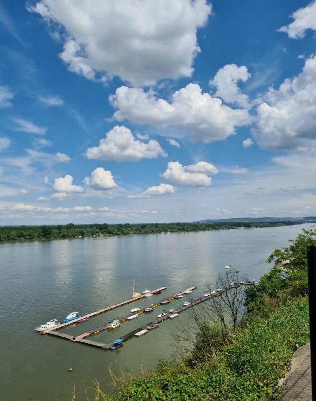 onie koisto sakaat da vidat poveke zemun i negovata unikatna ubavina 2