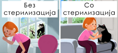 zhenkite-moraat-da-rodat-barem-ednash-i-ushte-7-mitovi-za-sterilizacijata-na-machki-i-kuchinja-povekje.jpg