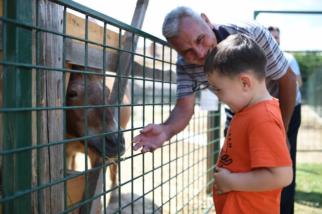 mini-zoo-parkot-vo-sugs-brakja-miladinovci-otvoren-za-posetiteli-01.jpg