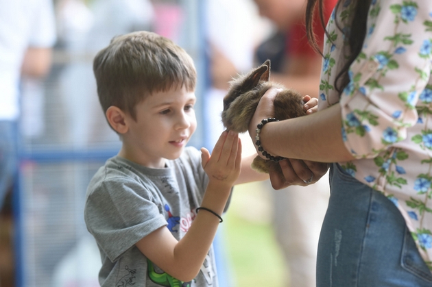 mini-zoo-parkot-vo-sugs-brakja-miladinovci-otvoren-za-posetiteli-04.jpg