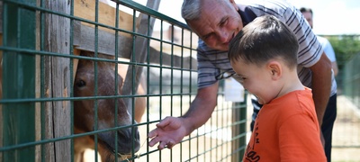 mini-zoo-parkot-vo-sugs-brakja-miladinovci-otvoren-za-posetiteli-povekje.jpg