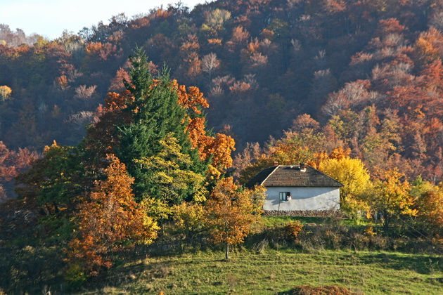 selski-turizam-i-gastronomsko-uzivanje-vo-srbija-poznata-destinacija-novo-iskustvo-08.jpg